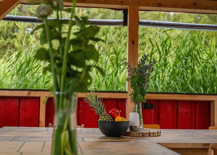 Jurty Glamping Moje Taghazout Campo de lujo